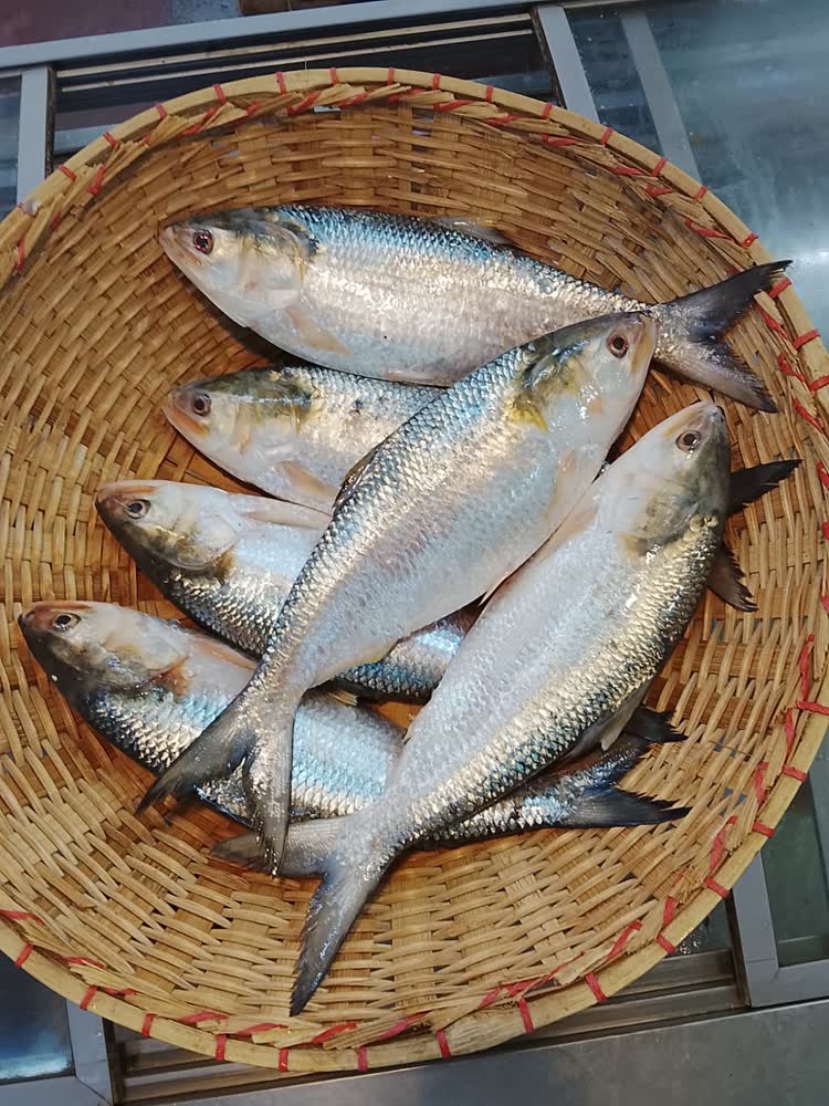 নদী-হাওরের খাঁটি দেশি মাছ